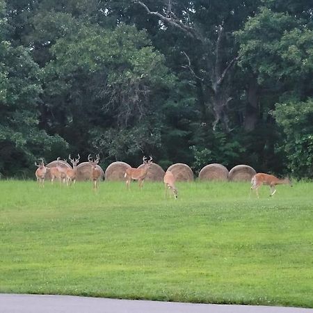 מלון Marshfield Deer Run Estate Llc מראה חיצוני תמונה